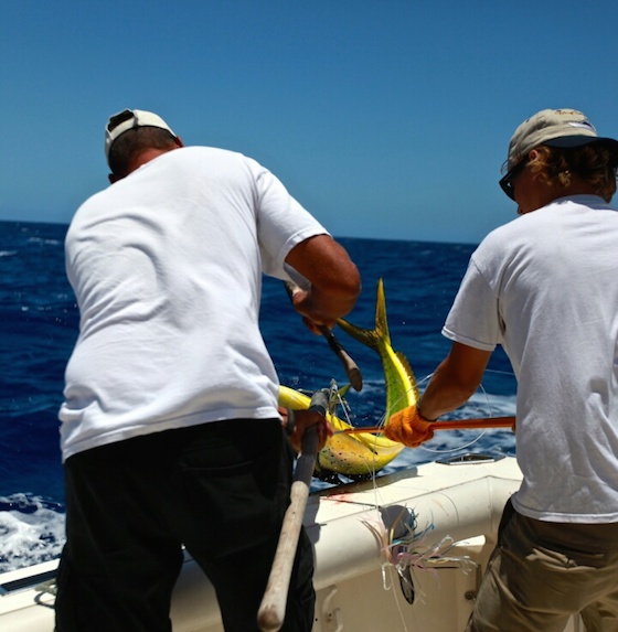 釣り体験の様子