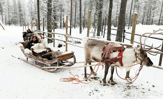 オーロラの美しい光景