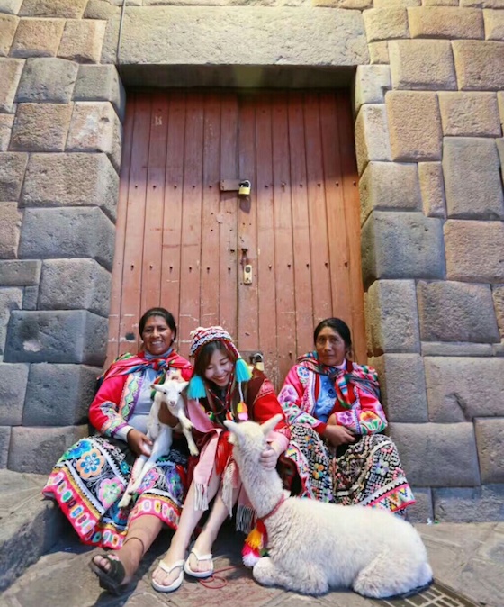 アルパカとリャマ