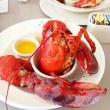 アメリカ・ボストンのおしゃれ観光スポット：大学の街でロブスターを食う？！