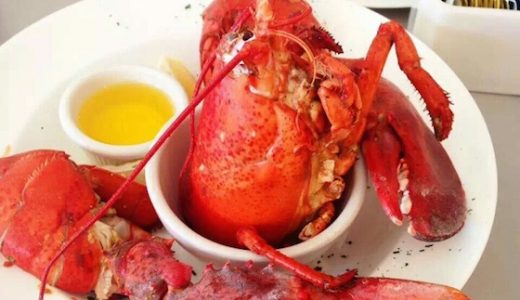 アメリカ・ボストンのおしゃれ観光スポット：大学の街でロブスターを食う？！