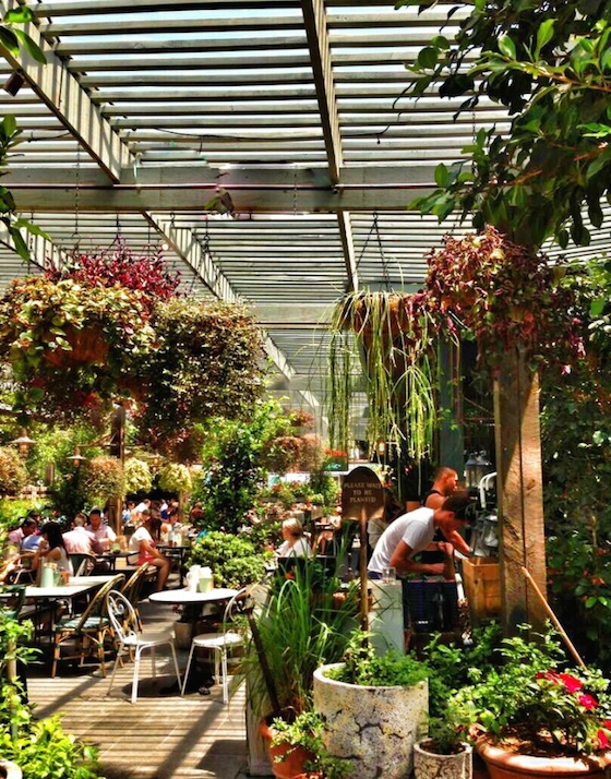 The Grounds of Alexandria