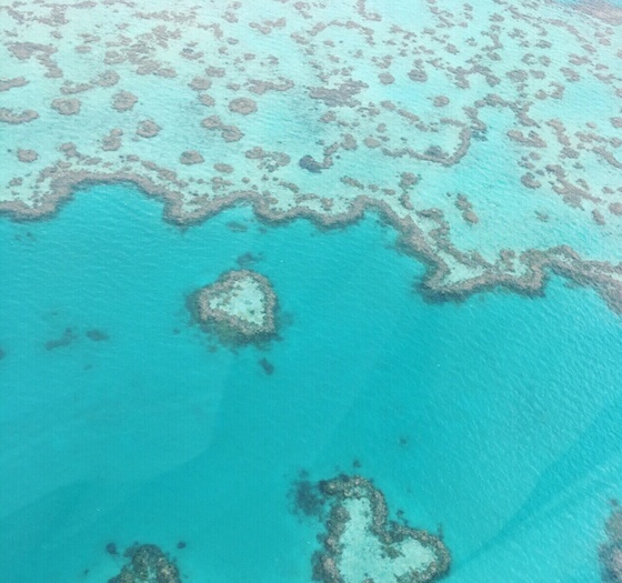 ハミルトン島