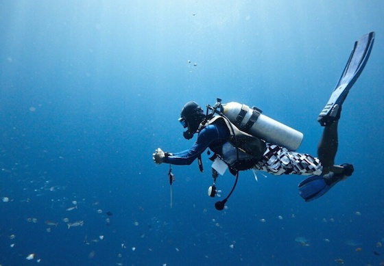 ダイビング