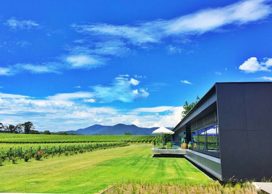 クイーン・ビクトリア・マーケットの夜市