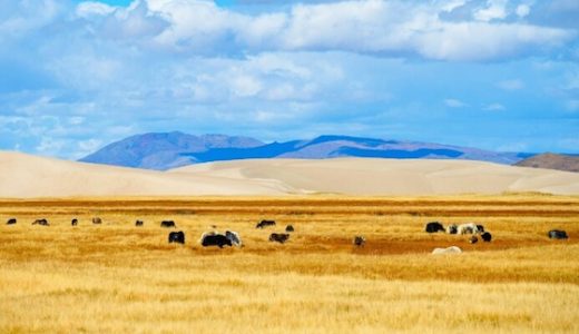 中国チベットラサのおしゃれな観光スポット： 聖地ラサを旅してみる