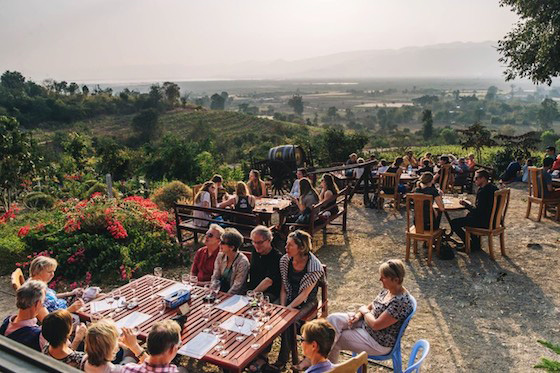 ワイナリーでの風景