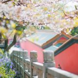 南京のおすすめ観光スポット：中国の古都で孫中山の墓を見る