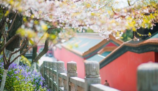 南京のおすすめ観光スポット：中国の古都で孫中山の墓を見る