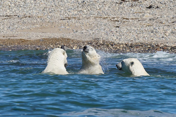 チャーチルの自然風景
