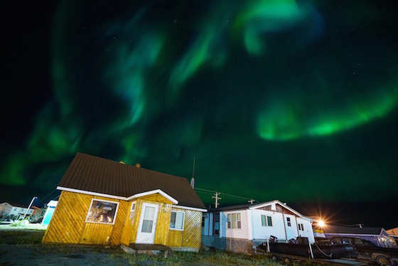 ホッキョクグマ